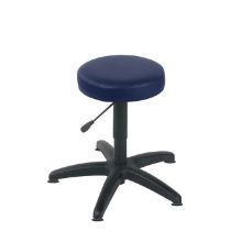 Stool Examination (Sunflower) Glider Base Navy