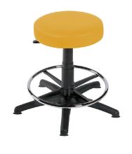 Stool Examination (Sunflower) Foot Ring/Glider Base Primrose